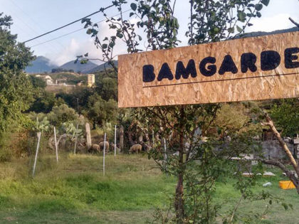 BAMGarden