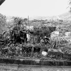 La Storia delle Cose Improponibili La Carriola_Un tempo portavo, oggi è la natura che mi avvolge per darmi sostegno.